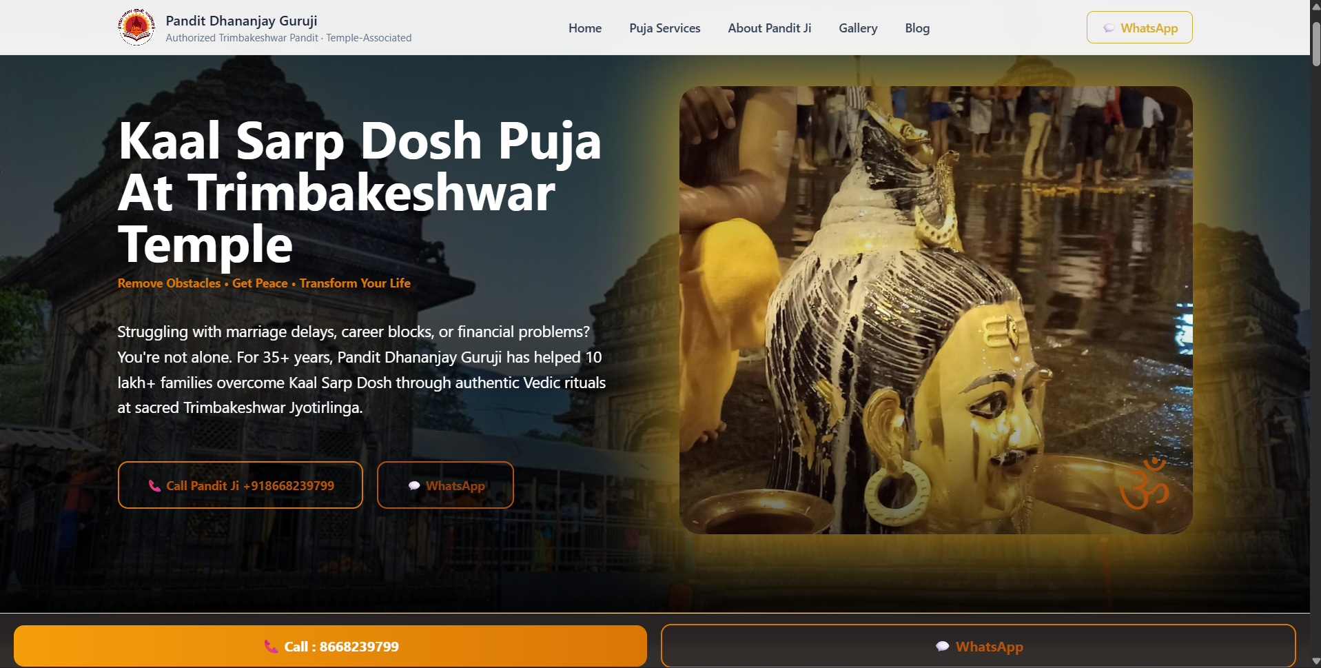 Trimbakeshwar Pandit Platform Preview